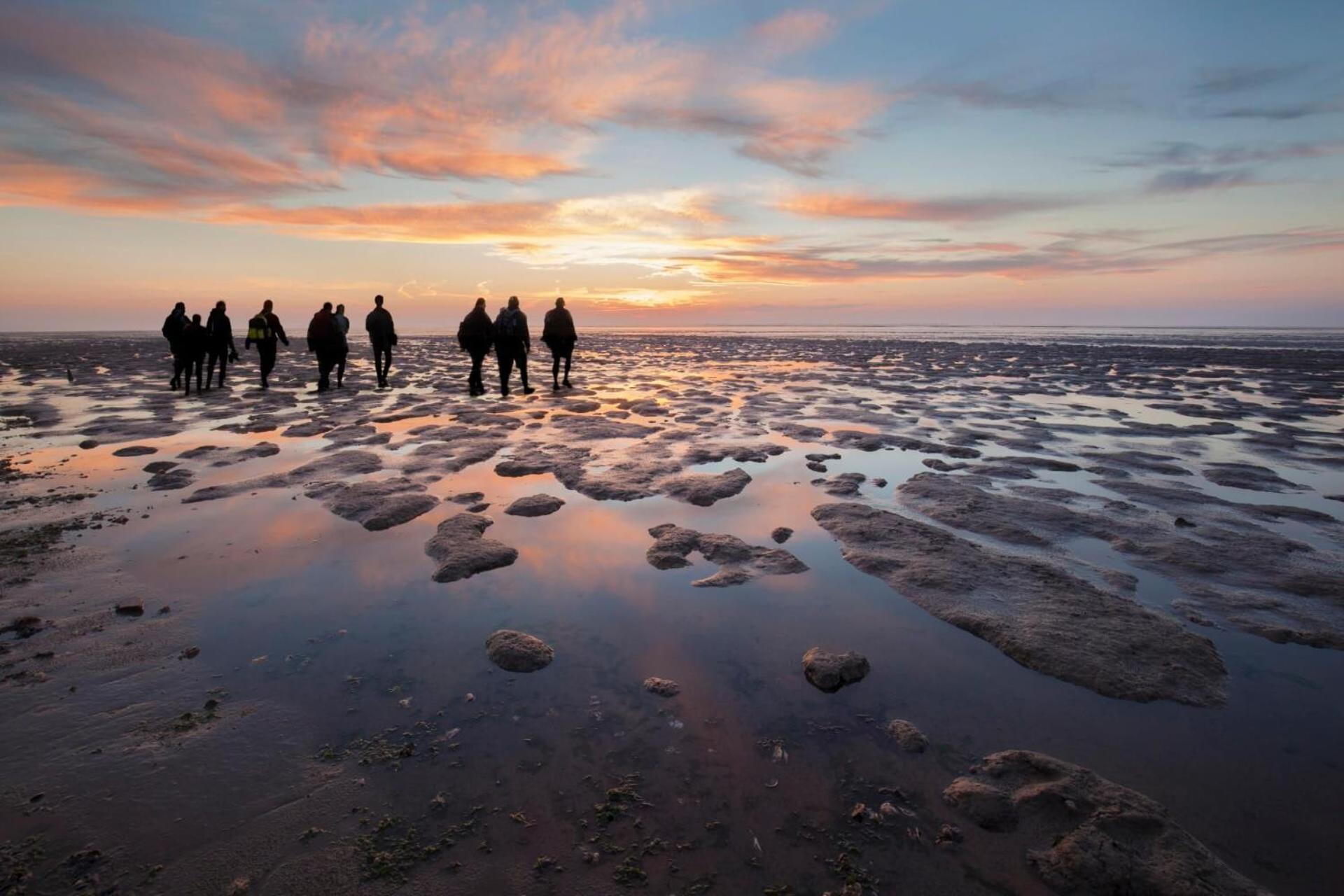 Enjoy Natur, See Und Meer Chalet Lauwersoog- 1-6 Pers- 3 Schlafzimmer, 2 Badezimmer- Fruehes Einchecken Ab 14 Uhr Экстерьер фото