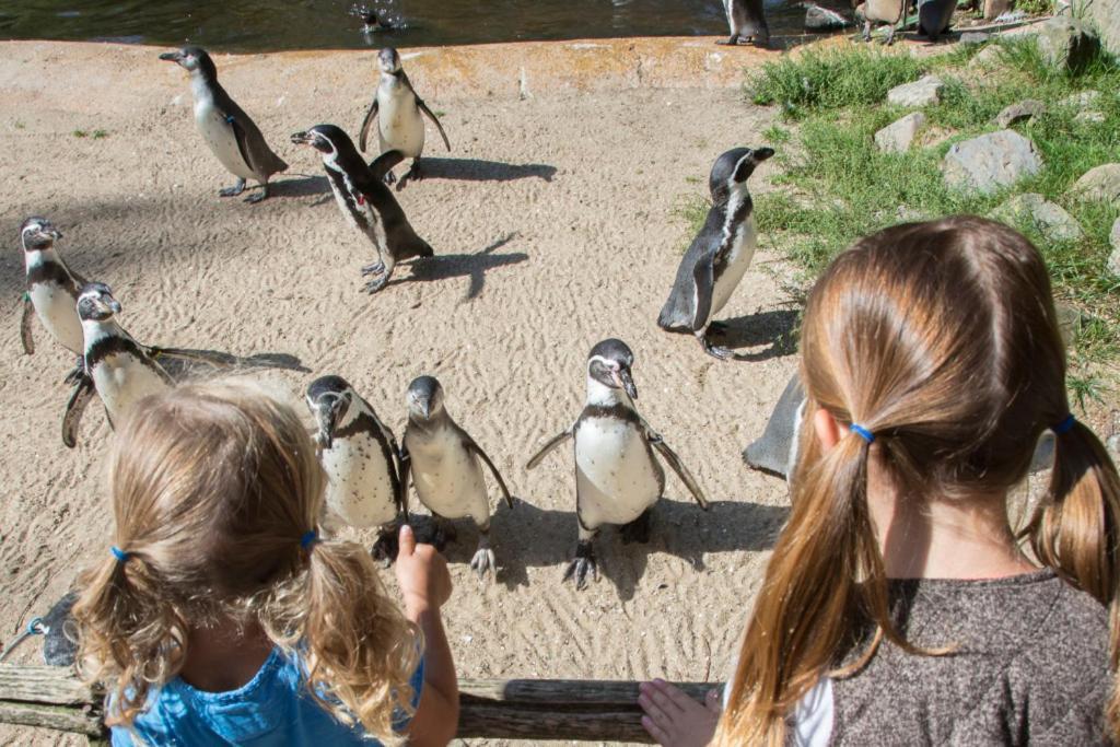 Enjoy Natur, See Und Meer Chalet Lauwersoog- 1-6 Pers- 3 Schlafzimmer, 2 Badezimmer- Fruehes Einchecken Ab 14 Uhr Экстерьер фото